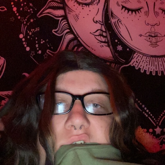 Meet your Posher, Delphina - Picture 1 of 1